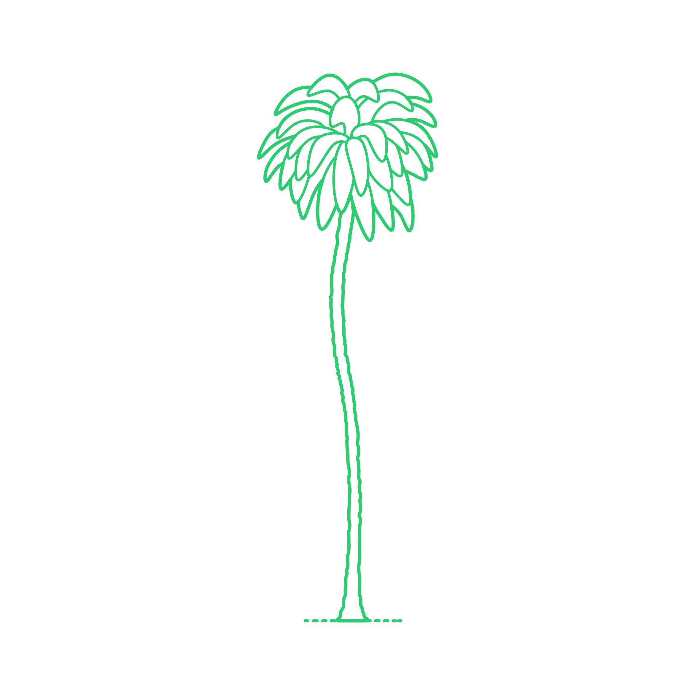 Plants Palms Coconut Palm Outline Svg Vector Free Vectors